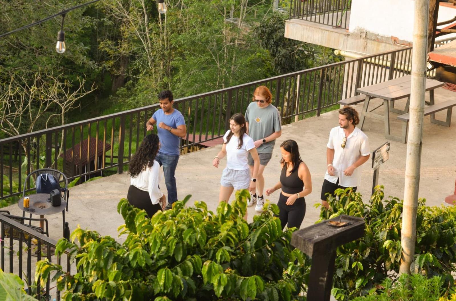 Coffee Tree Boutique Hostel Salento Dış mekan fotoğraf