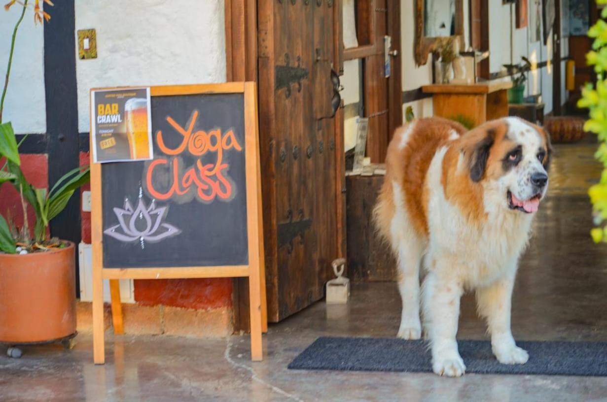 Coffee Tree Boutique Hostel Salento Dış mekan fotoğraf